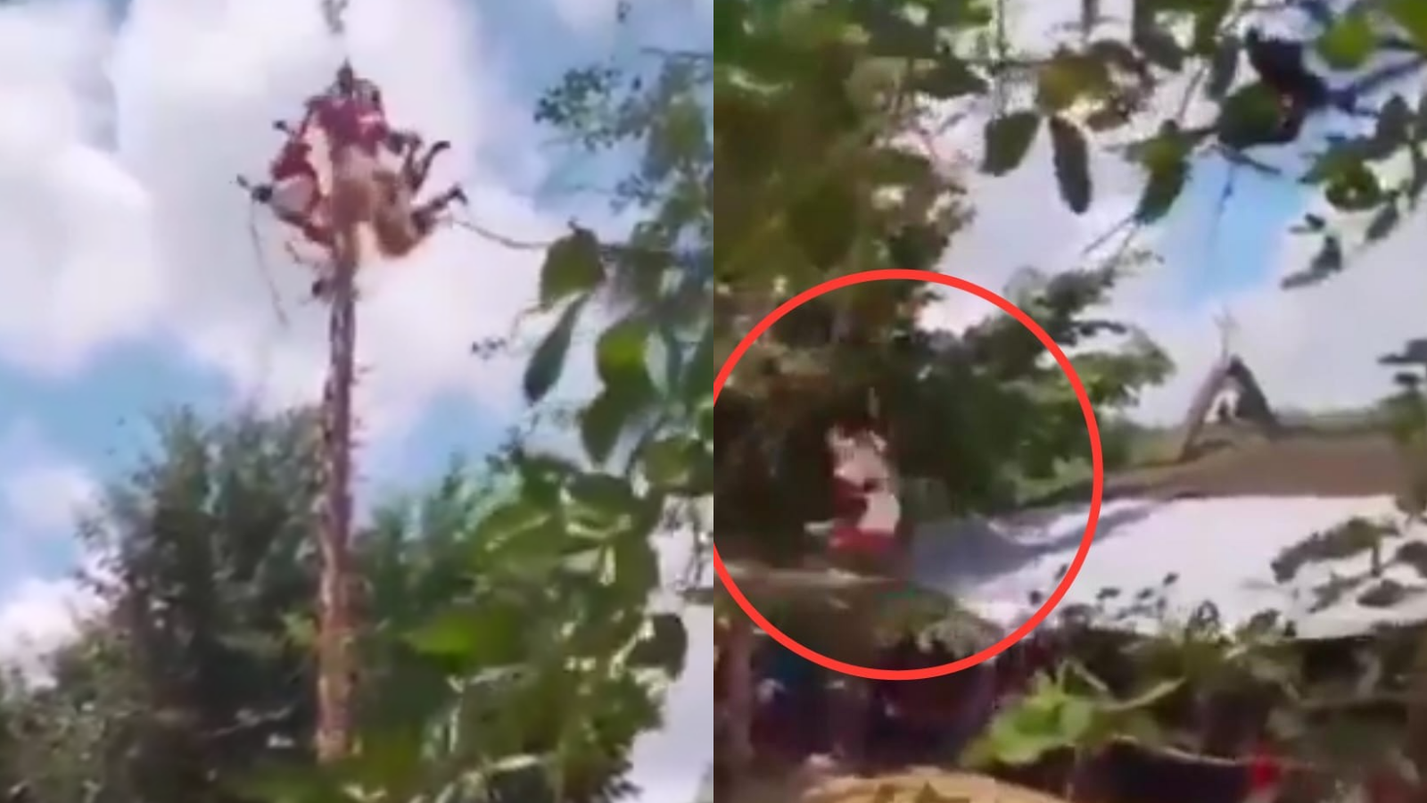Veracruz: caen volandores Papantla