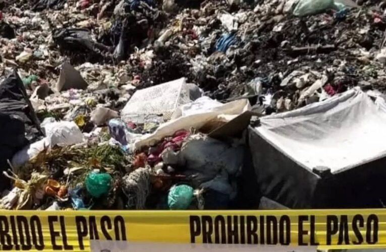 Buscó a su hija por cuenta propia… y la encontró muerta