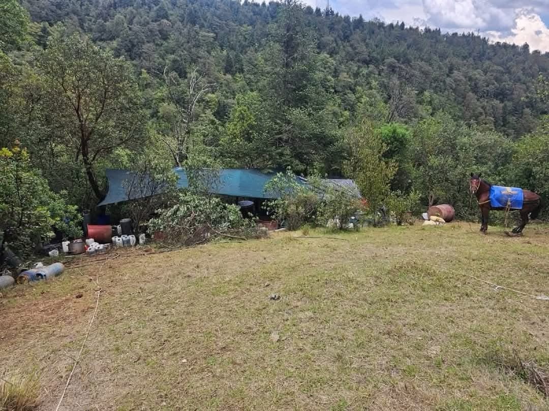 Encuentran narcolaboratorio en Otzolotepec
