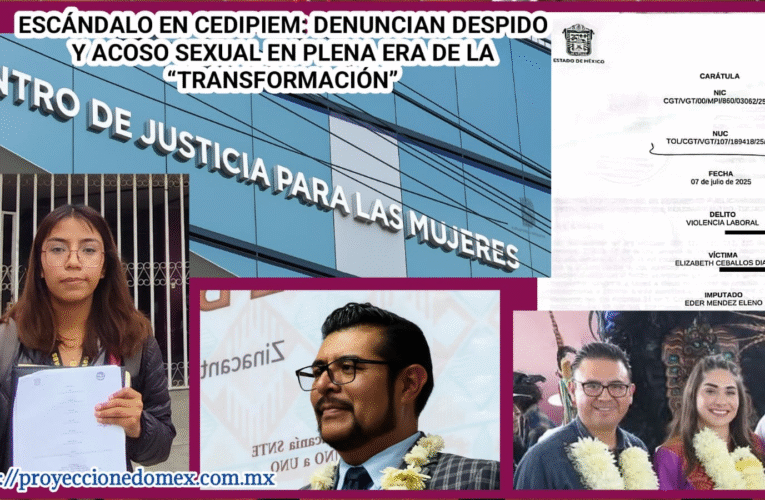 Denuncian acoso y despido en el CEDIPIEM