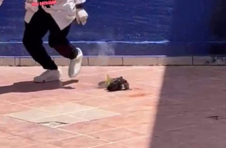 Maltrato animal en Guanajuato desata indignación