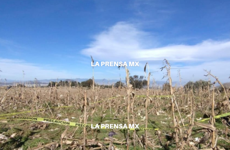 Aparecen huesos humanos en Cacalomacán: la policía investiga posible ejecución