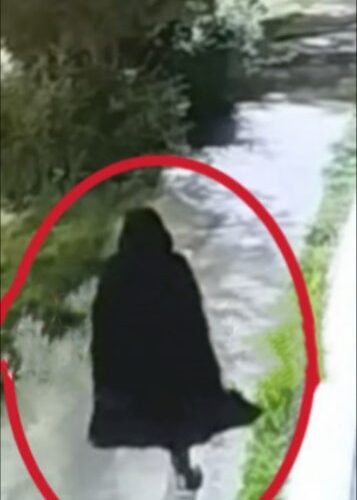 De terror: joven es atacada tras pasear a su perro en CDMX