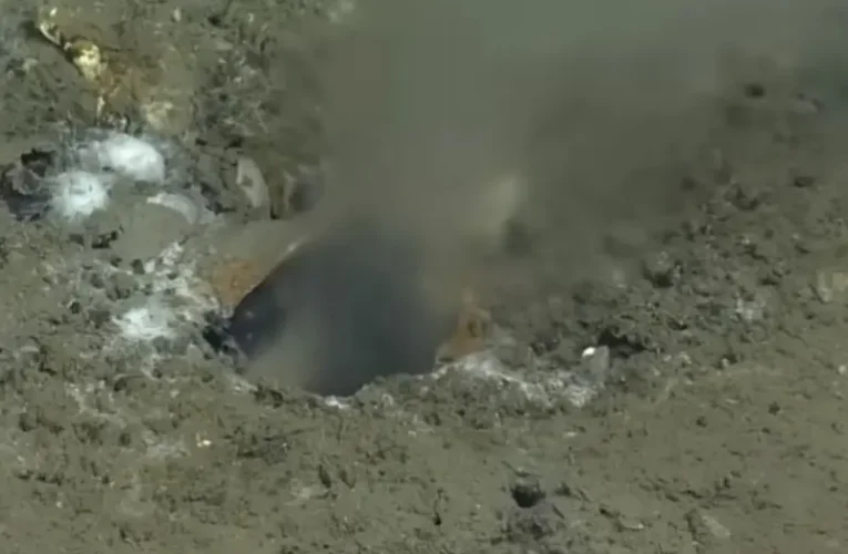 Fuga en el Pacífico podría detonar un megaterremoto, advierten científicos