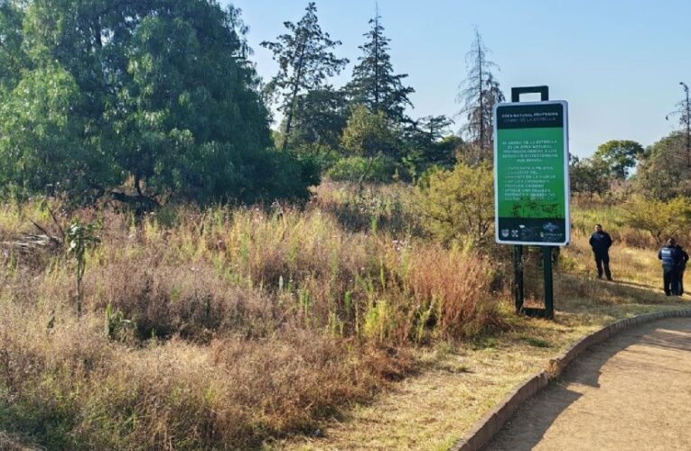 Hallan cuerpo en Cerro de la Estrella