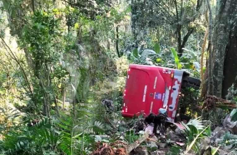 Autobús se desbarranca en Veracruz