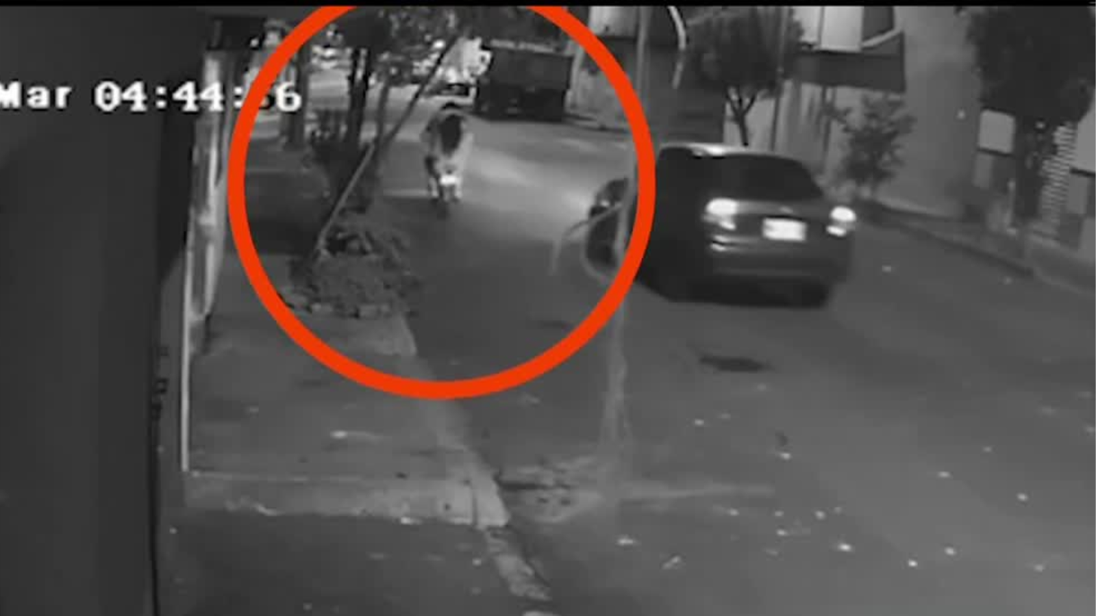 video muestra cómo conductor atropella repetidamente a dos mujeres