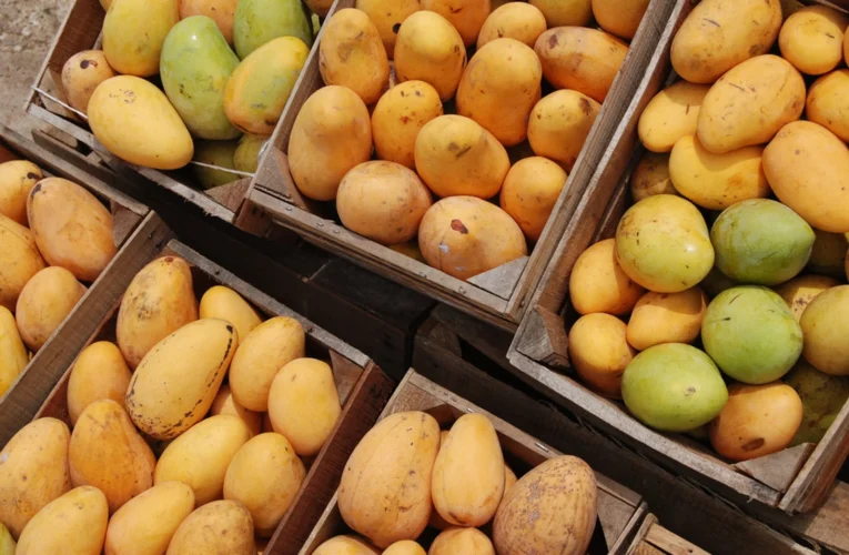 Falsos funcionarios saquean toneladas de mango