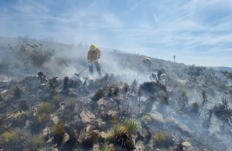 ¡Alarma ambiental! Incendios devoran 17 mil hectáreas en SLP; cae primer responsable