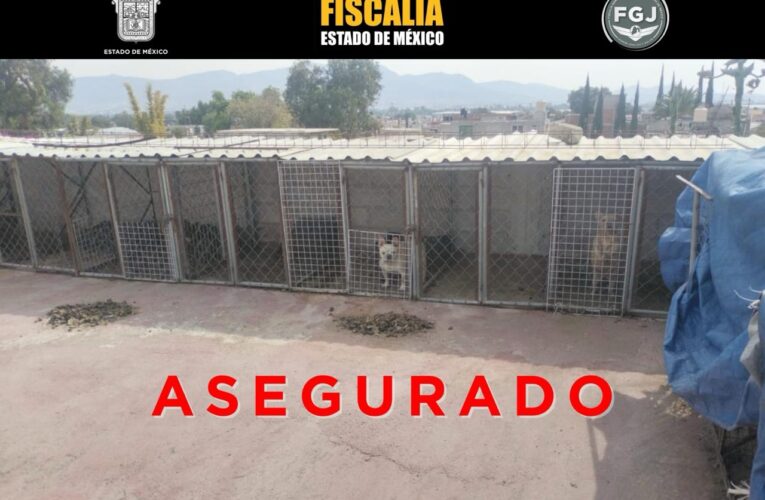 Rescate de 102 animales en Tultepec destapa investigación por presunto maltrato animal