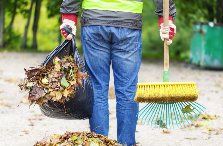 Video: Se hicieron pasar por barrenderos y asaltaron a mujer en San Juan de Aragón