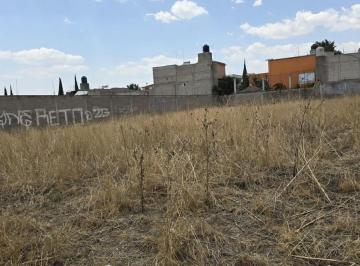 Hallan restos de bebés en Edomex