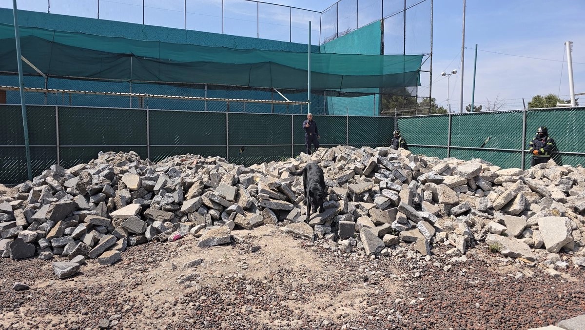 Bomberos CDMX binomio canino