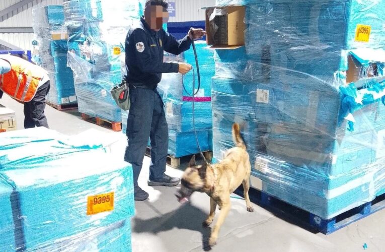 Decomisan más de un millón de cigarros ilegales en AICM