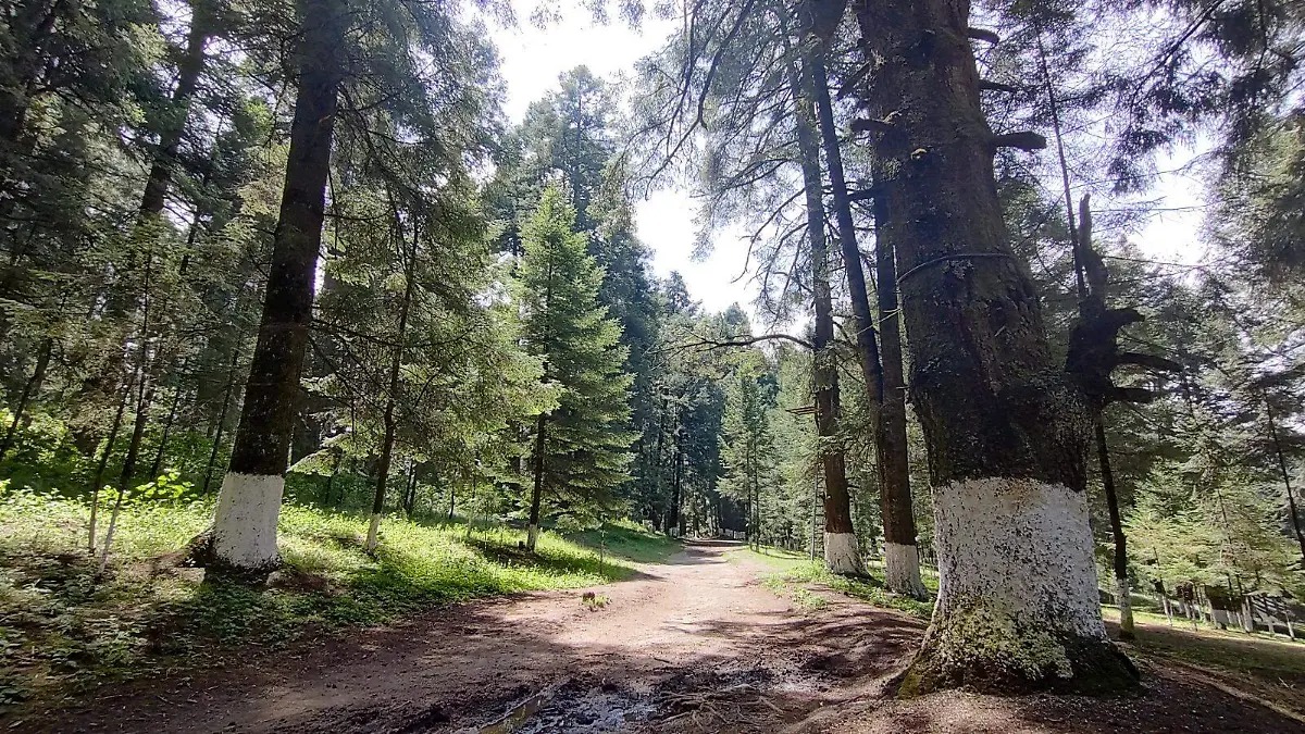 Elementos Ocoyoacac cuerpo hombre