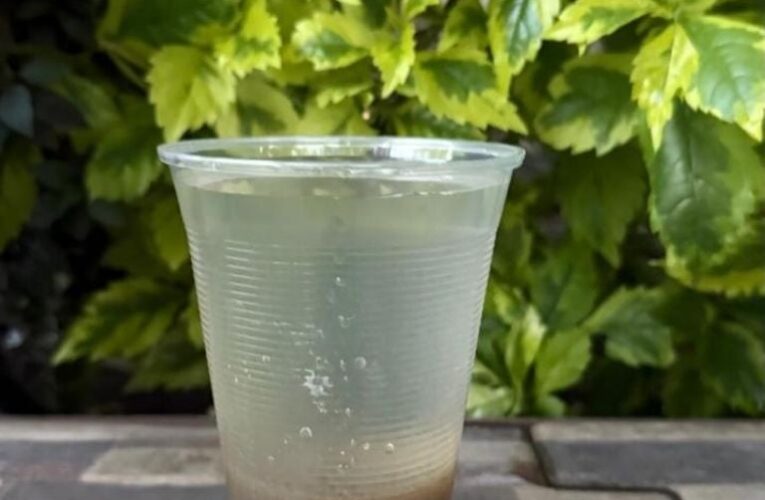 ¡Agua de caño en el grifo! Crisis de salud en Guadalajara