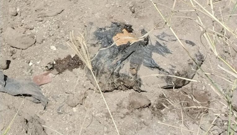 ¡Fraccionamiento del horror! Hallan 7 bolsas con restos en Jalisco