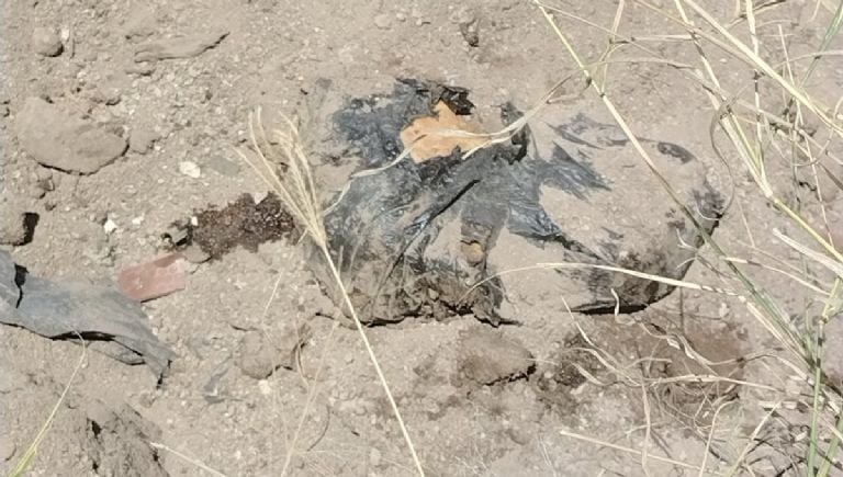 bolsas con restos en Jalisco