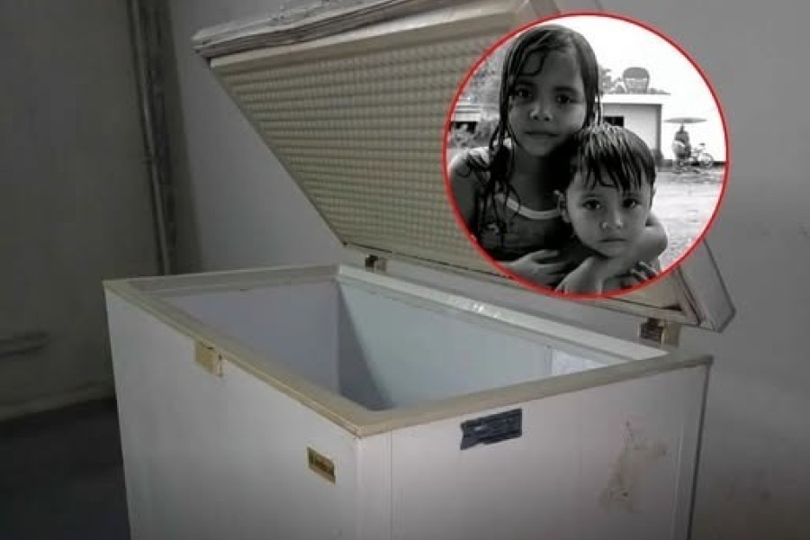 mueren en congelador