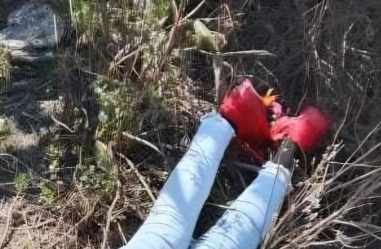 Hallan a joven sin vida en Axapusco; tenis rojos y una pulsera son las únicas pistas