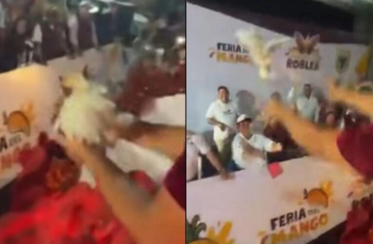 Lanzan pollos vivos desde carro alegórico en Veracruz, ¿habrá sanciones?