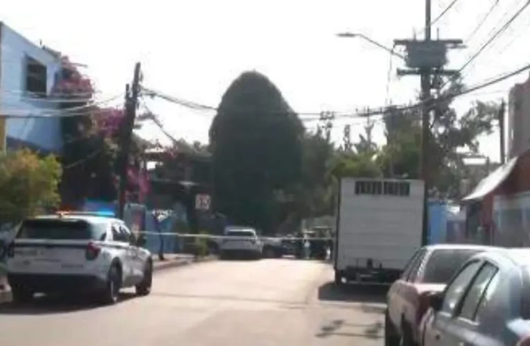 Doble homicidio en la alcaldía Miguel Hidalgo: Investigan ataque en la colonia Argentina