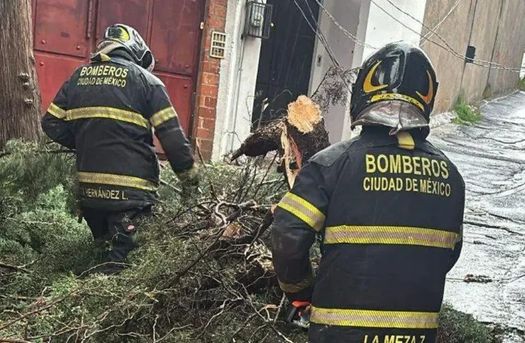 ¿El fin de la sequía y el inicio del caos? Tormentas dejan estragos y árboles caídos en la capital