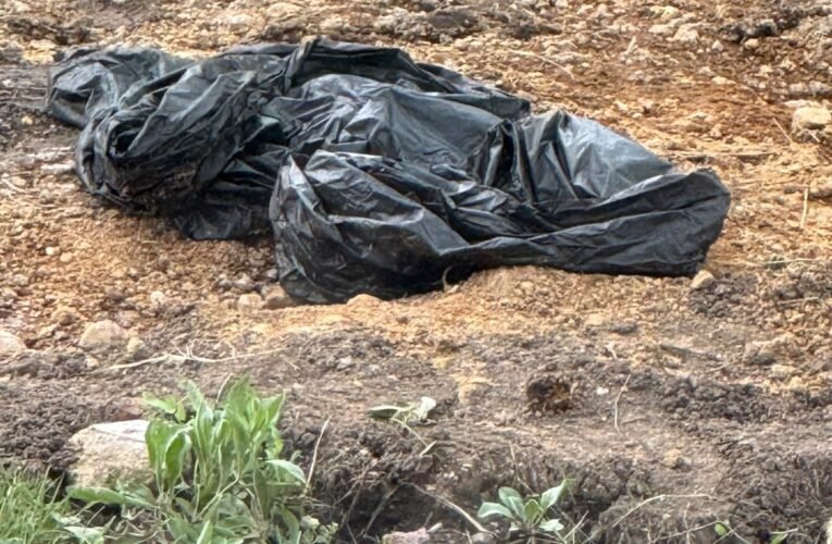 ¡Pánico en Tulancingo! Bolsas negras abandonadas en un dren movilizan a las fuerzas de seguridad en Hidalgo
