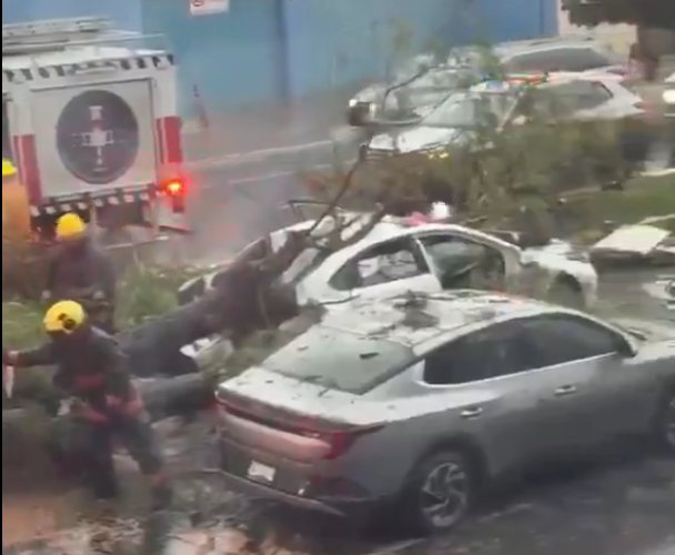 ¡Tragedia por tormenta! Caída de árbol aplasta un auto y deja un muerto en la Recta a Cholula