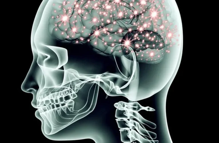 Descubre los perturbadores secretos que esconde la psicopatía humana