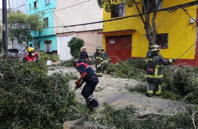 Caos y destrucción: 20 árboles aplastan ocho vehículos tras fuertes lluvias