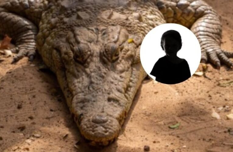 ¡Horror en el zoológico! Sujeto arroja a niño de 3 años a una jaula de cocodrilos en el Reino Unido
