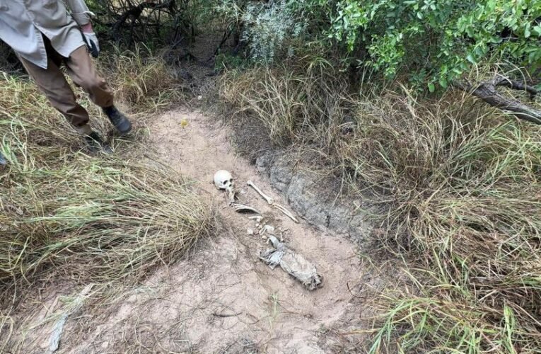 Fosas en Tamaulipas: hallan siete cuerpos junto al muro