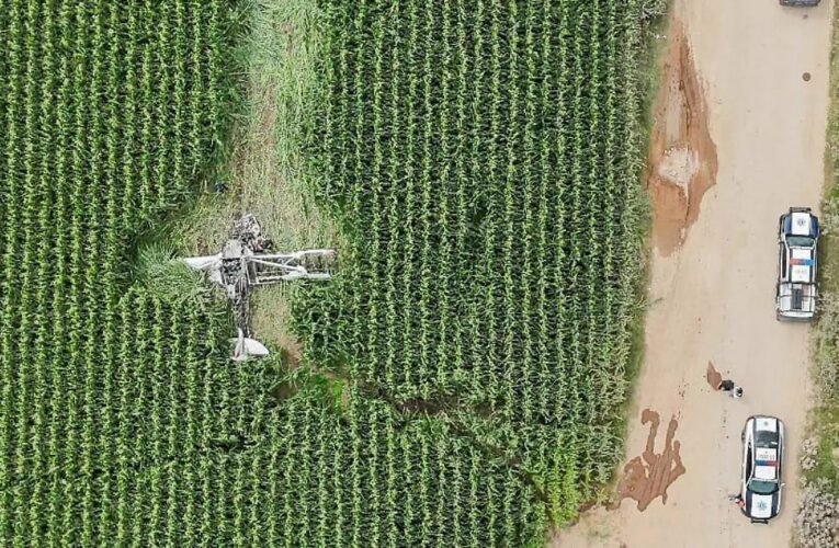 ¡Piloto sobrevive de milagro! Avioneta se estrella e incendia en San Juan del Río