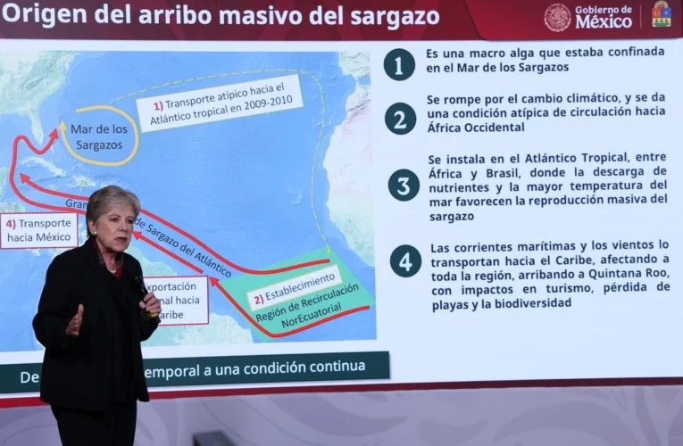 El INE bajo la lupa: ¿Logrará frenar al crimen con su nueva estrategia electoral institucional?