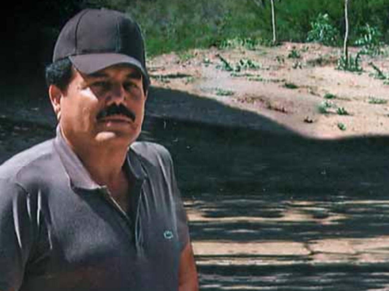 'el Mayo' Zambada
