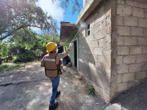 ¡ALERTA POR MOSQUITOS ASESINOS! AMENAZA DE DENGUE EN HIDALGO