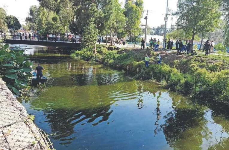 Autoridades investigan la localización de un cuerpo masculino oculto entre la maleza