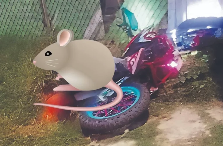 Motociclista hiere con arma de fuego a presunto asaltante durante intento de robo en Chalco