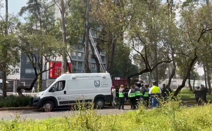 Encuentran el cadáver de un hombre colgado de un árbol sobre la Avenida Insurgentes Norte
