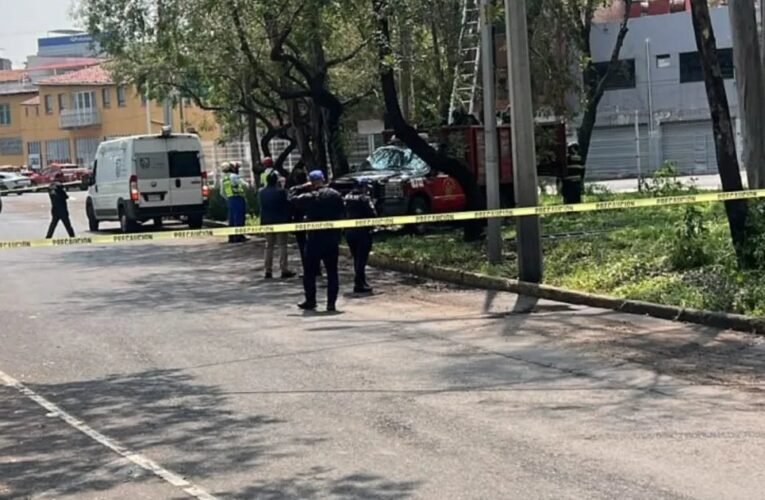 Hallan a un hombre sin vida colgado de un árbol en la Gustavo A. Madero
