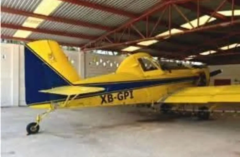 Operativo en Champotón deja seis detenidos, armas, vehículos, hidrocarburo y una avioneta asegurada