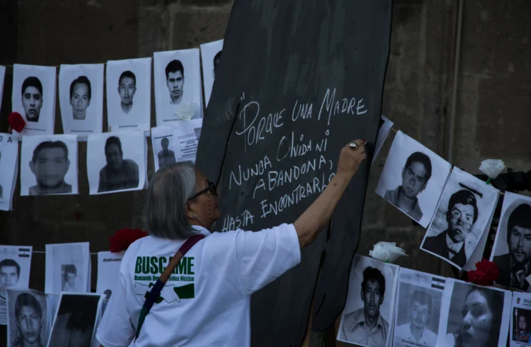 ¡Alerta crítica! El 80% de las empresas incumple la conexión a la plataforma de búsqueda de desaparecidos en México