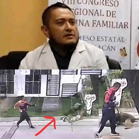 Investigarán a médico por agresión de su perro en Uruapan