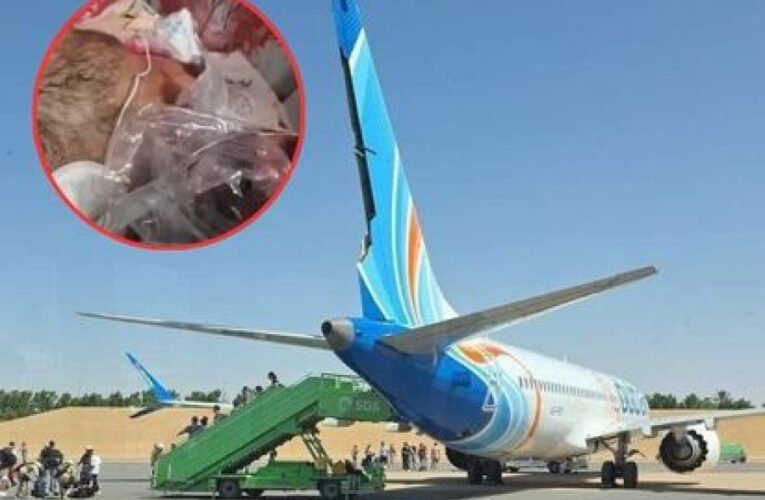 Incidente aéreo en vuelo hacia Tel Aviv provoca aterrizaje de emergencia en Arabia Saudita