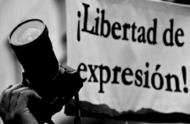 ¿Cuántos periodistas y defensores de derechos humanos fueron asesinados en México durante el sexenio de López Obrador según Berkeley?
