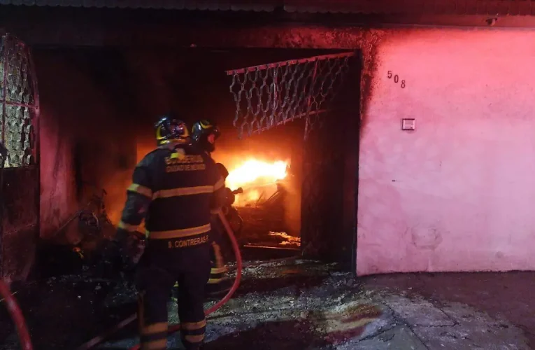 Un incendio provocado por pirotecnia en la alcaldía Gustavo A. Madero cobra la vida de 14 perros