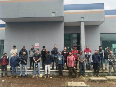¡Golpe al robo de aguacate en Uruapan! Detienen a 20 y aseguran 195 cajas del “oro verde”