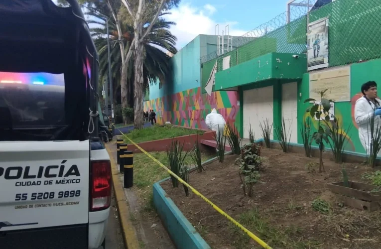 Terror escolar al amanecer: maestros descubren cadáver abandonado frente a primaria de la GAM