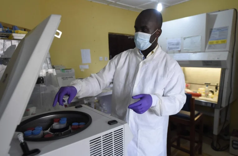 Letal bacteria animal muta el pánico: reportan primera muerte humana por virus shamonda en Francia
